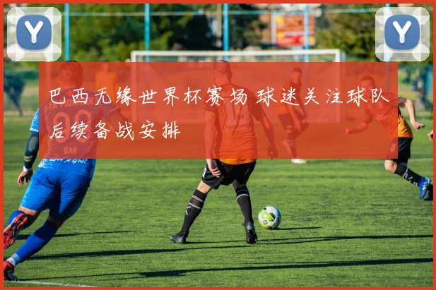 巴西无缘世界杯赛场 球迷关注球队后续备战安排