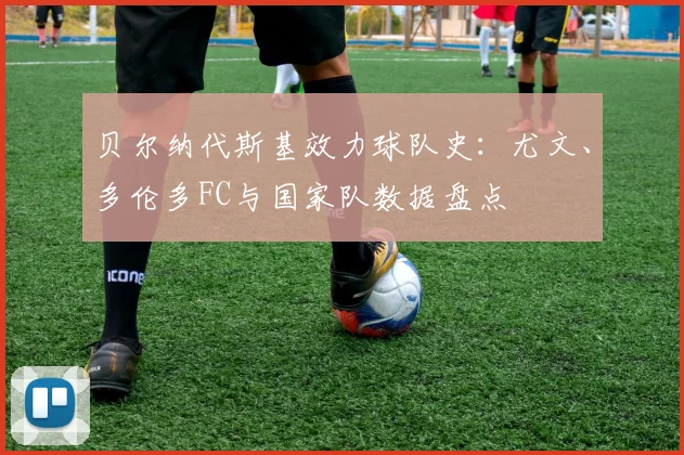 贝尔纳代斯基效力球队史：尤文、多伦多FC与国家队数据盘点